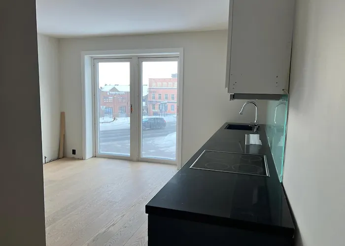 New Renovated Apartment, Superb Location And Free Parking Appartement Drammen
